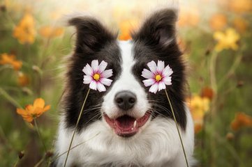 imToken钱包苹果版